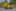 kubota preview