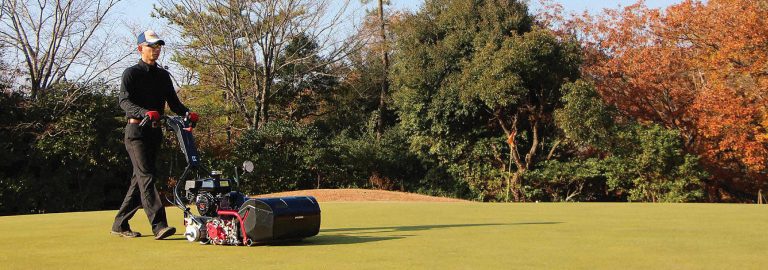 LM101 Floating Head Greens Mower