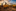 Dumpers preview