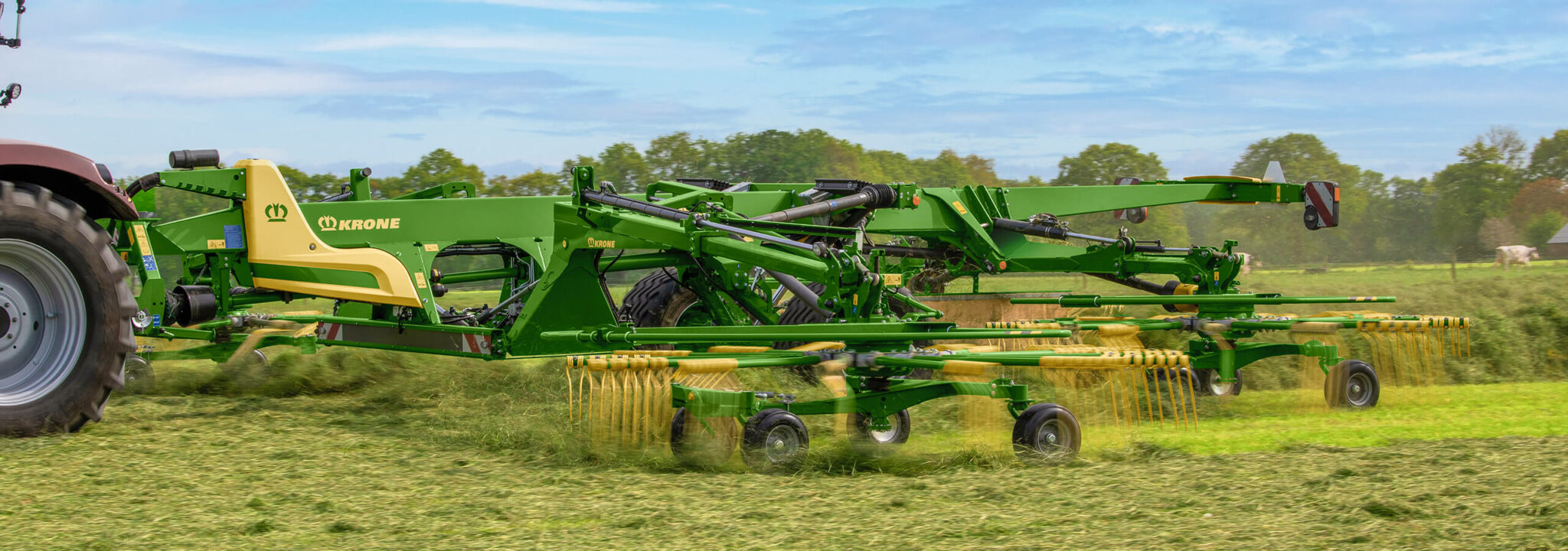 Swadro Four Rotor Centre Delivery Rakes | AHS Group